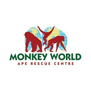 monkey-world